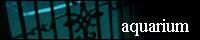 aquarium/高薙ありすさま